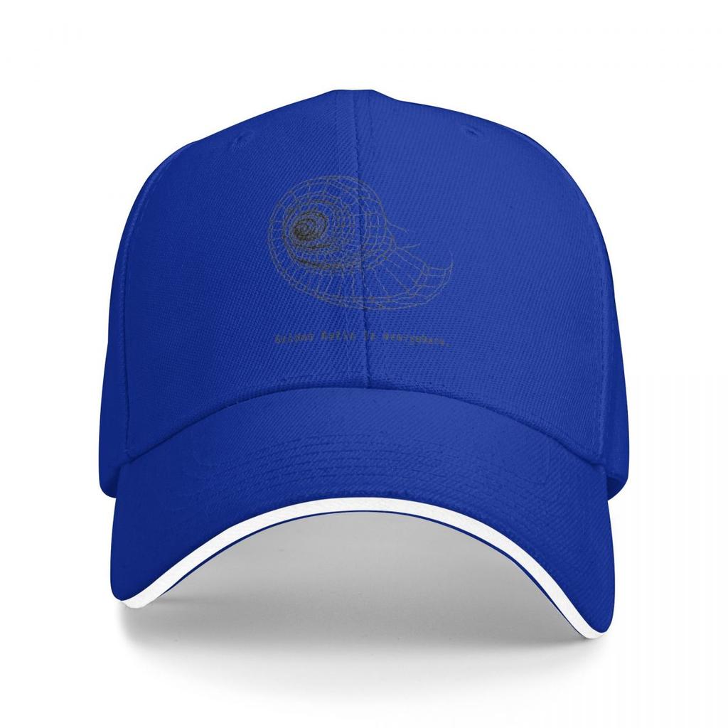 Baseball Caps Fibonacci Golden Ratio Is Everywhere Customized Men Women Sport Summer Hats