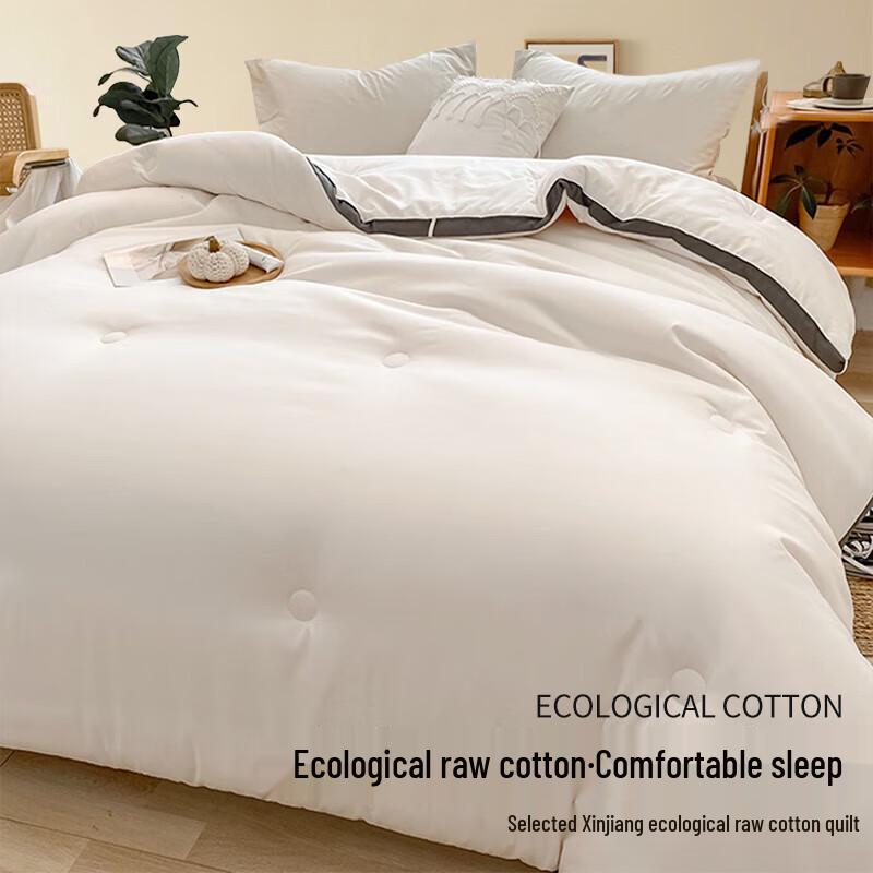 Jiuzhoulou Thickened Cotton Winter Quilt