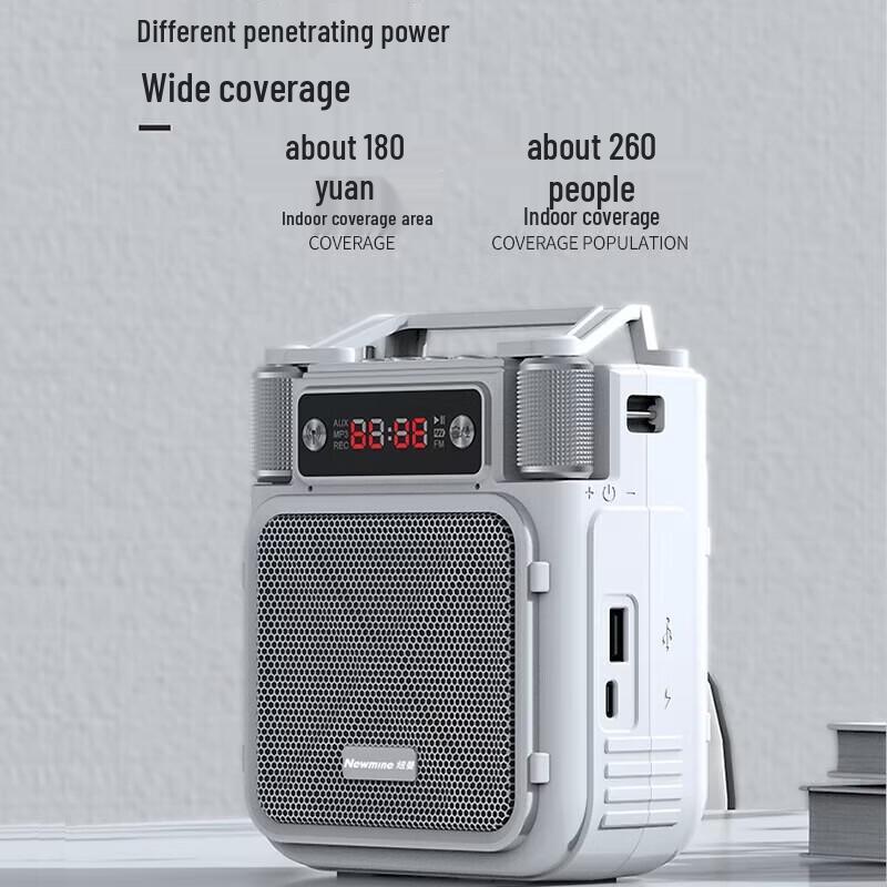 Newmine MS19 Portable Wireless Amplifier for Teachers & Guides CN plug (adapter included)