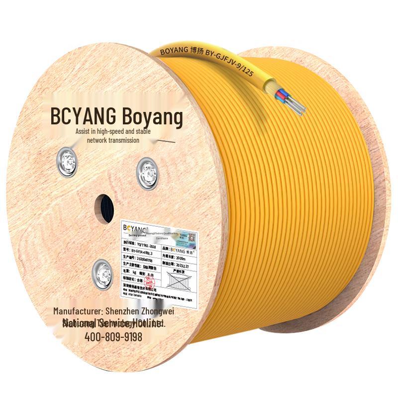 

BOYANG GJFJH Indoor Fiber Optic Cable, 100m 6 Core