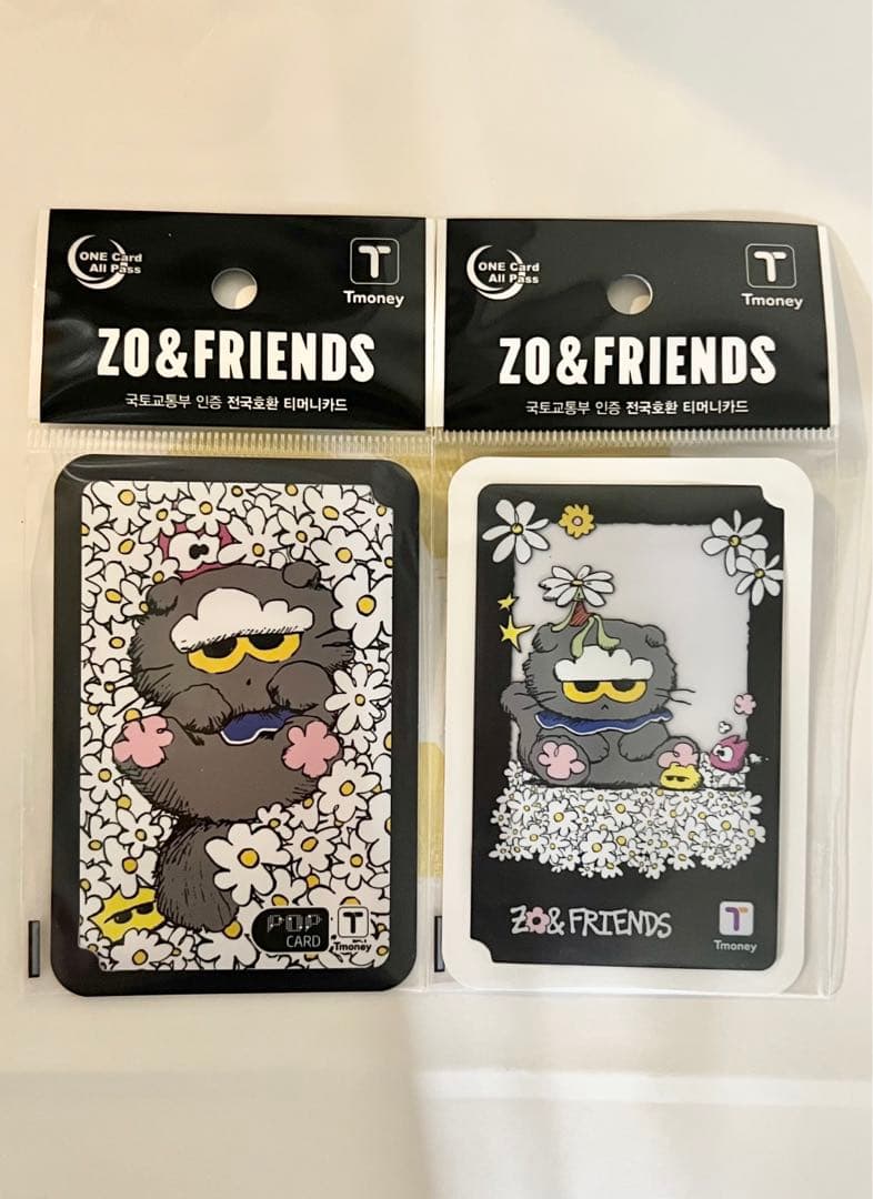 

[USED] Official ZO FRIENDS GDRAGON T-moneycard Jiyoung