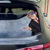 President Car Sticker President Decorative Car Stickers President Decals Stickers For Truck Window Unique President 2024