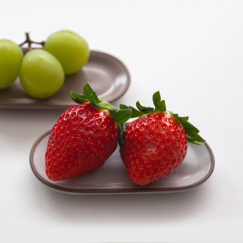 Nicott Soil Soil Sauce Bowl and Spoon Rest