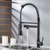 Black Dual Function Spring Kitchen Faucet