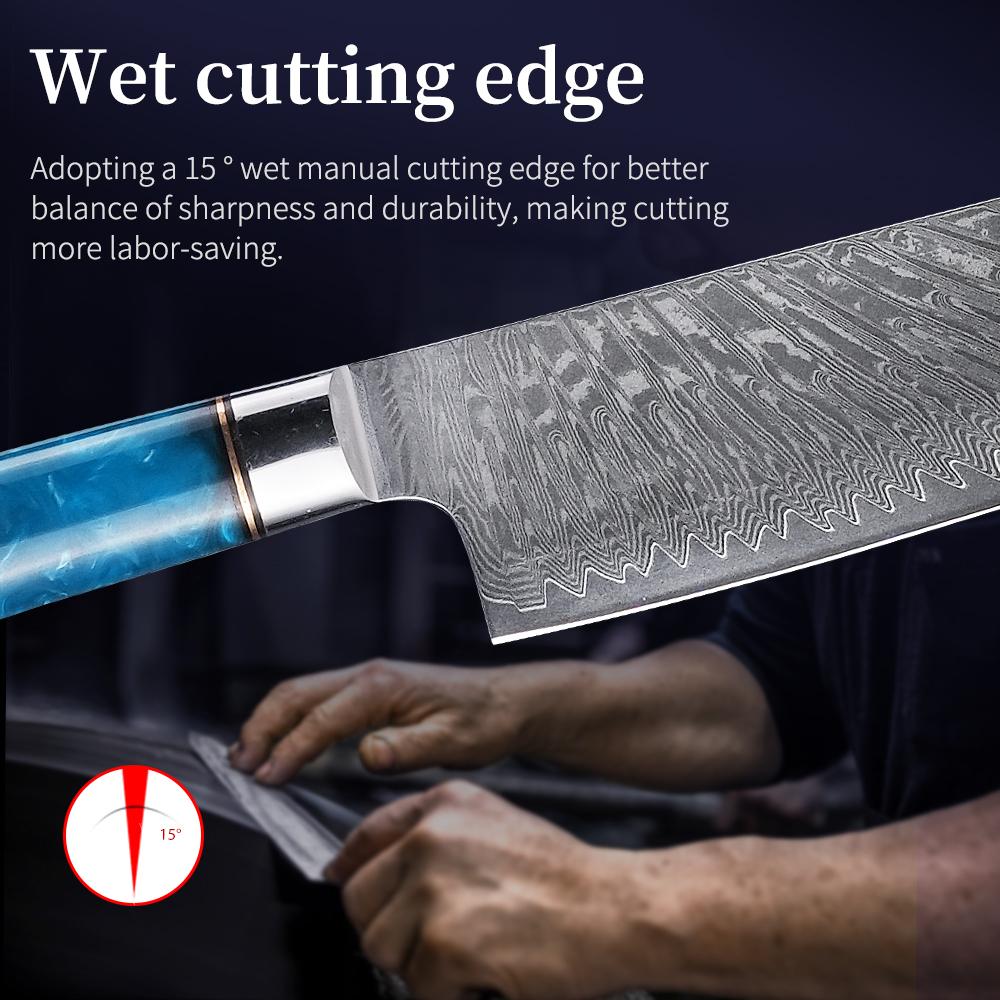 FINDKING Luxury Blue Resin Sapele Wood Handle 9.5 Inch Gyuto Knife 67 Layers Damascus Steel Japanese Kitchen Chef Knife