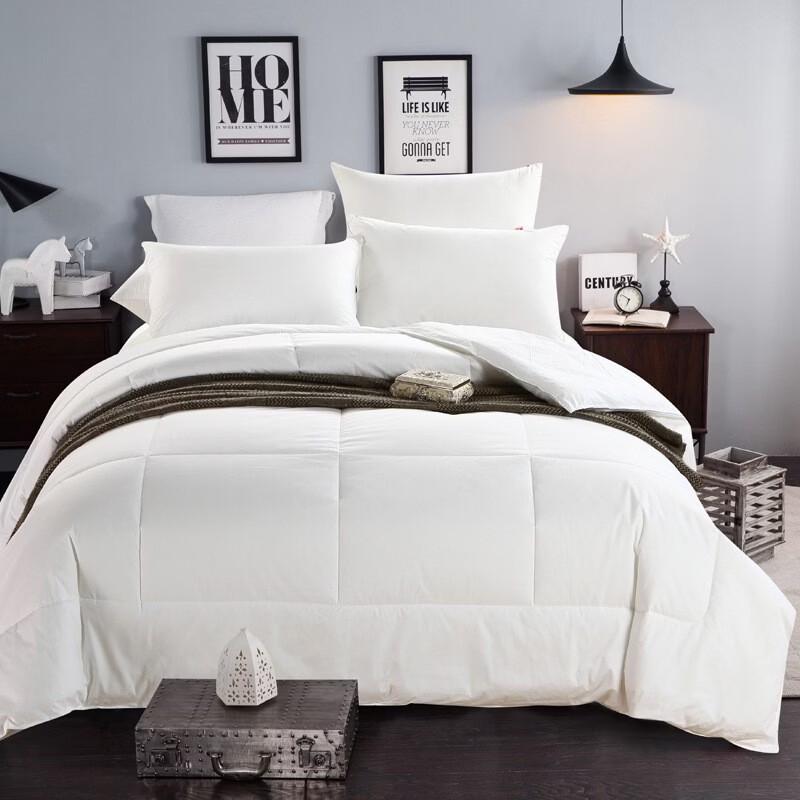 

mling All-Season Polyester Duvet Insert