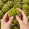 Crunchy Crackling Durian Squishy Toy Soft TPR Fidget Toy Novelty Fruits Pinch  Home Decoration