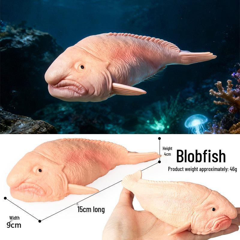 Children's Cognitive Marine Animal Models: Sea Turtle and Tortoise Toys