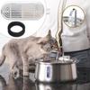Replacement Filters Pet Water Feeder Automatic Automatic Cat Water Fountain  Pet Supplies