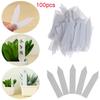 100Pcs PVC Greenhouse  Seeds Waterproof Nursery Pot Garden Tools Seedling Tags Plants Label