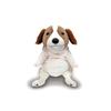 Shinada Global Serie Mochi Mochikoikeru Peluche Grande, 22 x 22 x 30 cm, Animal, Perro, Kooikerhondje, Inu Inu, Perro MOKK-0350