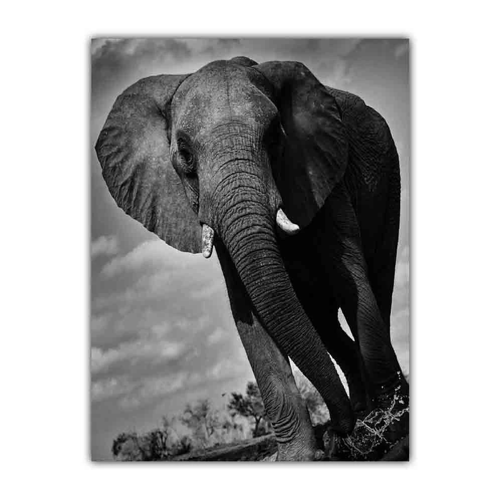 Animal Elephant Black and White Print Art Canvas Poster For Living Room Decoration Home Wall Picture