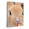 Art 420mm X Wall Wooden Stylish Interior Animal Photo Panel, Painting, Decoration, Igsticker, 297mm, A3, Photo, Hanging, Frame, Decor, 002807, Animal,