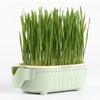 Elephant Cat Grass Cup Hydroponic Cat Grass Box Soilless Planting Easy To Grow Easy Operate Cat Grass Pot Set Pet Supplies