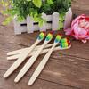 10PCS Zahnbürsten mit weichen Borsten entfernen Oberflächenflecken, bequemes Greifen, Zahnbürsten-Set für Erwachsene