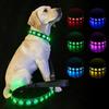Perros – Collares y correas