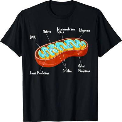 Üst giysisi – T-shirtler