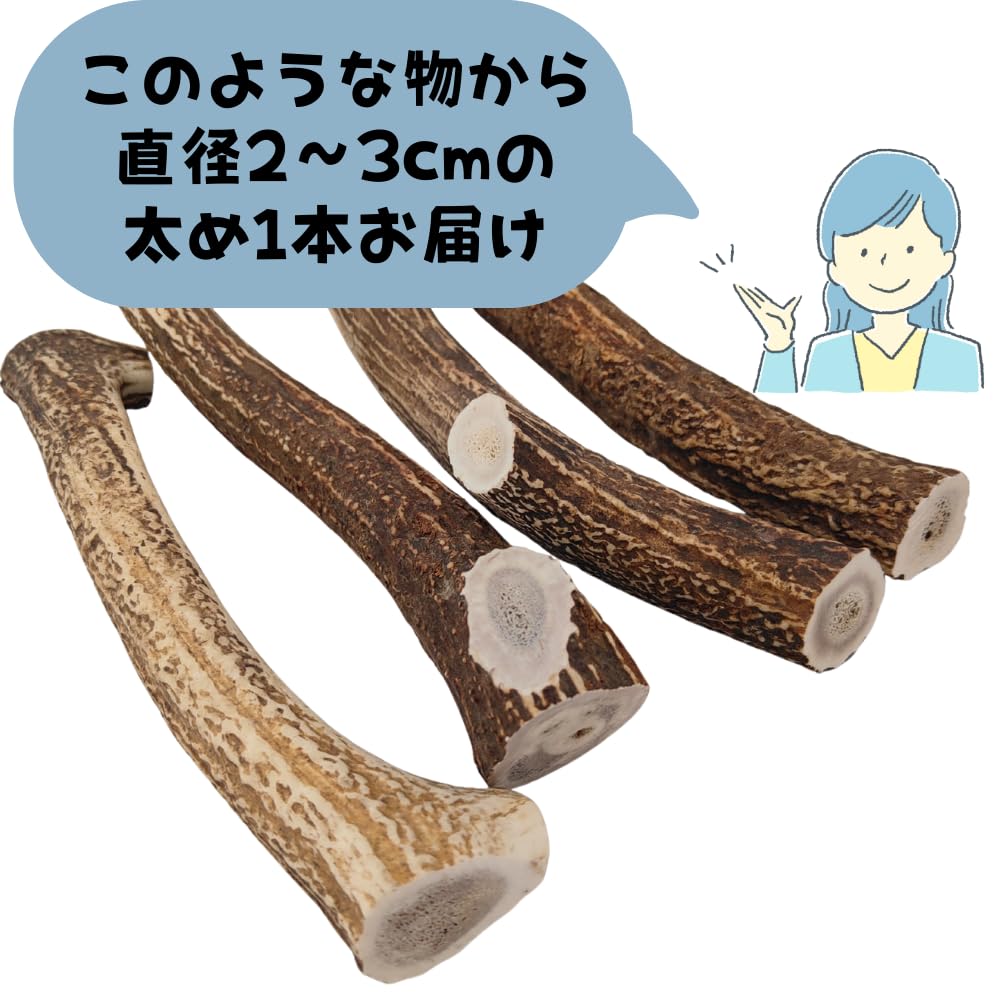 Hokkaido Deer Antler Dog Toy to Medium Thick (Large Dogs, Type, 25cm)