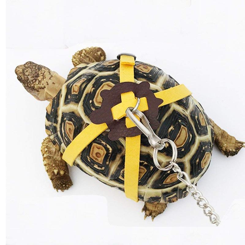 Haustier Schildkröte Zugband Kontrollseil Trainingsgurt Laufleine Haustierbedarf
