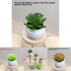 Mini Succulent Plant Lotus Artificial Potted Plant T For Home Decor