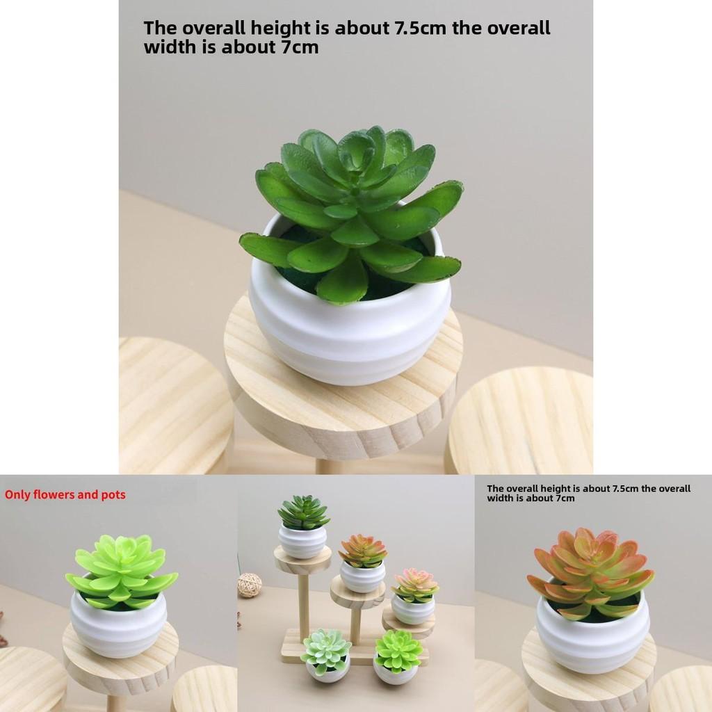 Mini Succulent Plant Lotus Artificial Potted Plant T For Home Decor