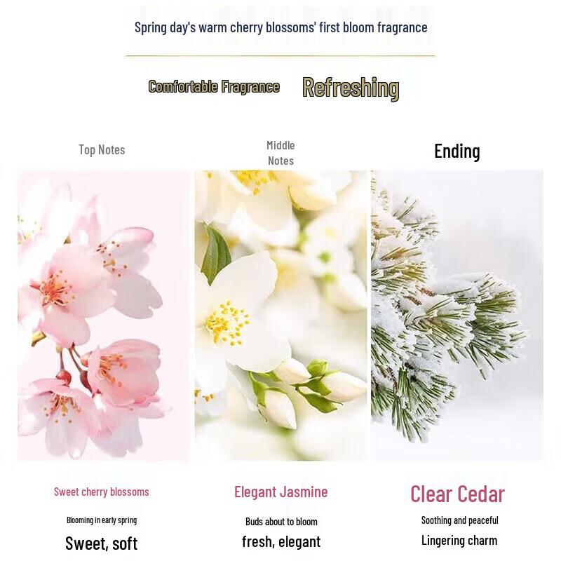 Dove Cherry Blossom Shower Foam & Pomegranate Body Scrub Set