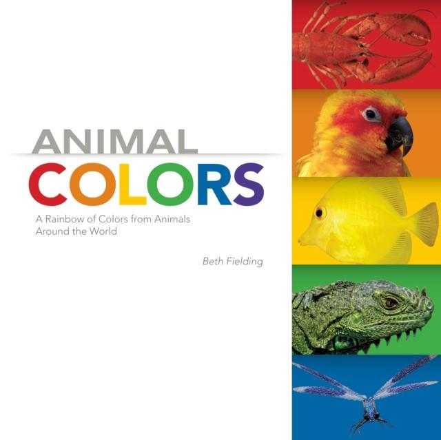 More animal colors. Discovering colors - animals. цвета энимал.