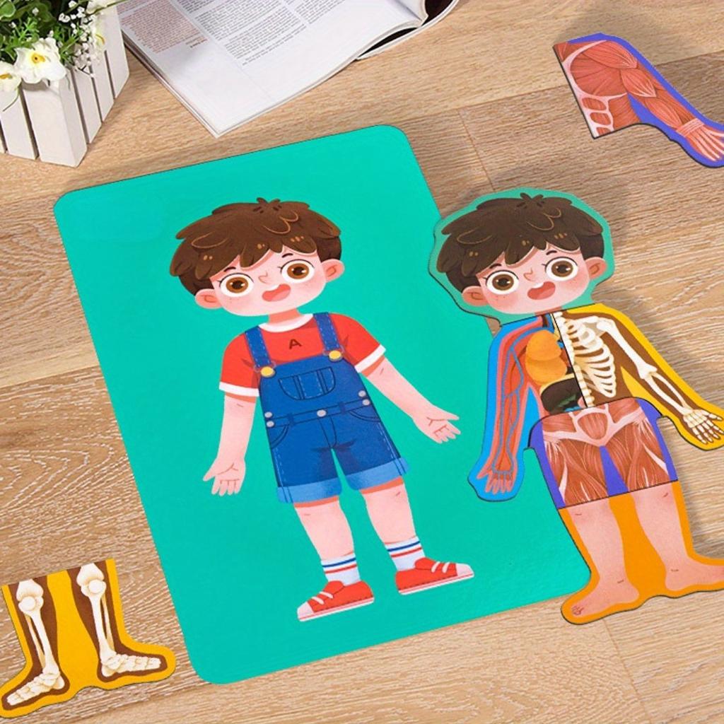 1pc wooden jigsaw puzzles,Human body structure cognition structure biology wood accessories,enlightenment, puzzle,learning