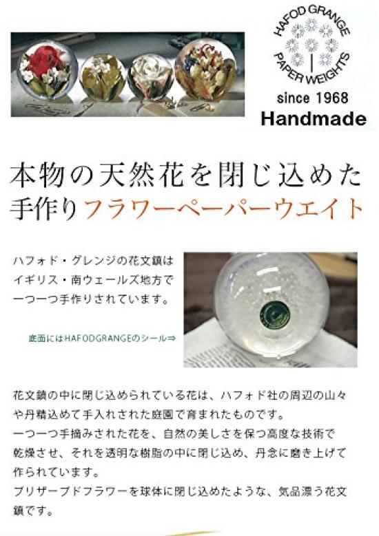 HafodGrange Flower HG18S Paperweight, Small, Forget-me-not,