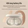 Lanston TS19 Open-Ear Sports Bluetooth Headset