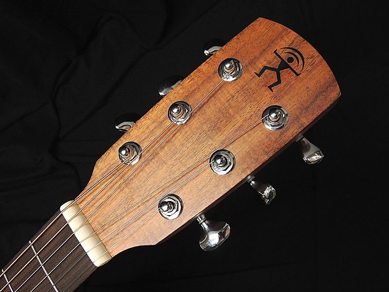 aNueNue Bird Guitar Solid Mahogany Top Mahogany single board top aNueNue acoustic guitar electric acoustic aNN-L20E