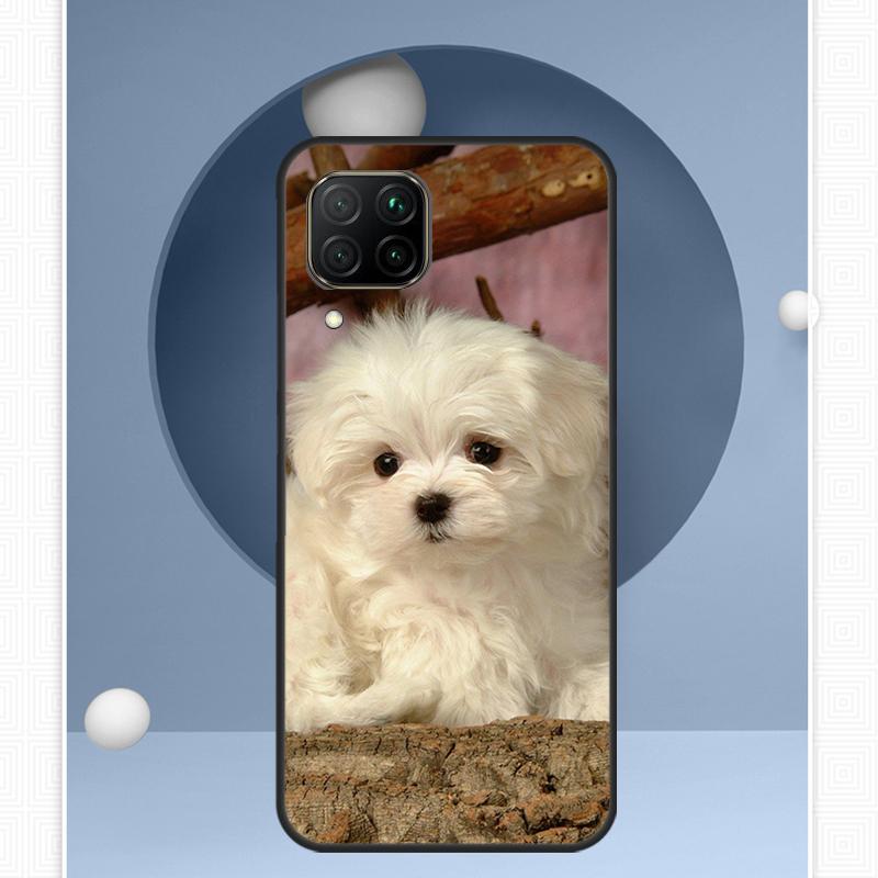 Maltese Dog Puppies For Huawei Nova Y91 Y60 Y70 Y72 Y90 Y61 12s 12i 11i 8i 10 9 SE P20 P40 Lite P30 P60 Pro Case