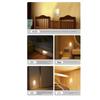 Rechargeable LED Induction Night Light Motion Sensor Body Sensor Night Light Cabinet Lamp  Closet