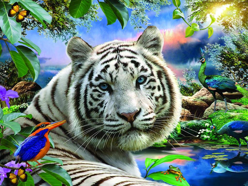 Yamasan Prime 3D Howard Robinson Sumatran White Tiger 100140 Finished 61 X 46 Cm 500 Pieces Size /