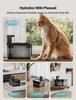 Water Fountain Cordless, Wireless Pet Water Fountains for Cats Indoor,Battery Operated Cat Drinking Fountain with Motion Sensor,