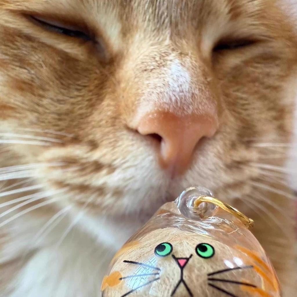 Acrylic Pet Hair Keepsakes Display Box With Rope Cats Furs Collectible Storage Container Keychain Pendant Home Decors