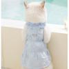 Spring and summer thin daisy skirt lace collar cat and dog clothing two-legged casual wear