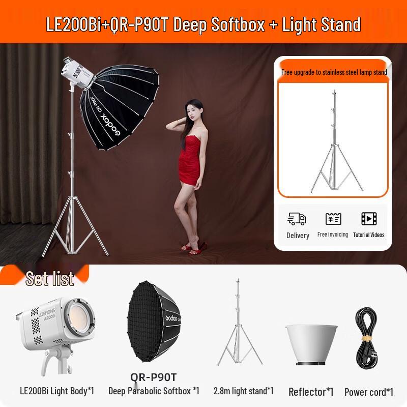 Godox LE200Bi Bi-Color LED Video Light Kit