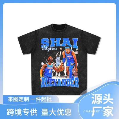 Sga Alexander Vintage Printed Short Sleeve T-Shirt Washed Heavy