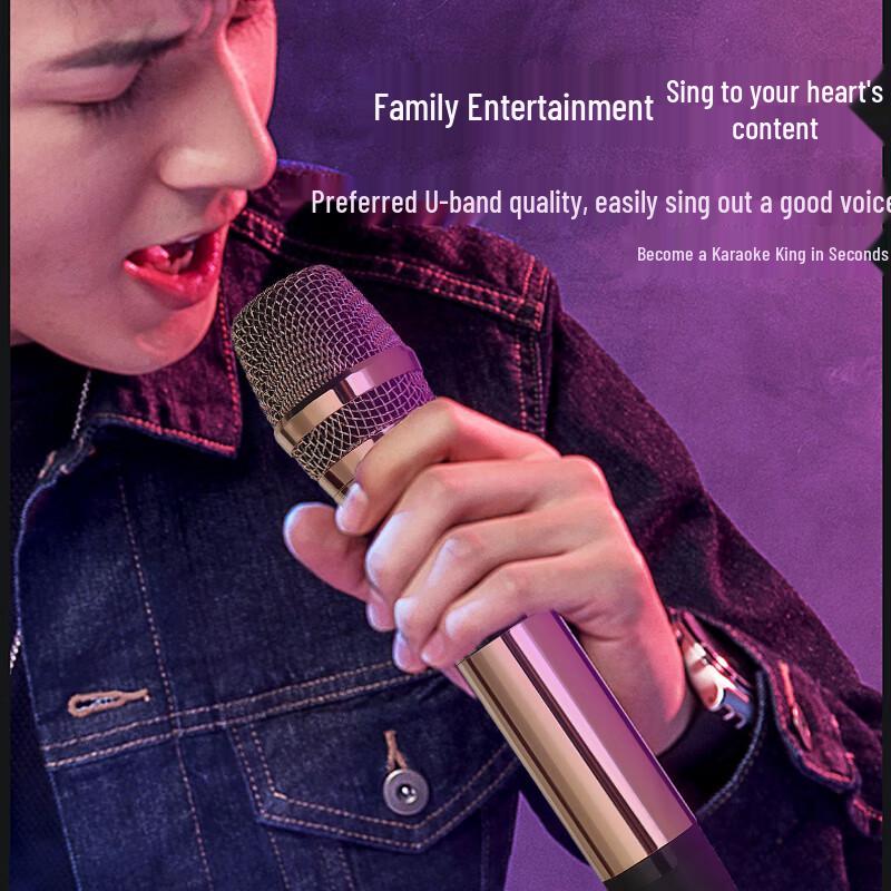 HuiDu Professional KTV & Conference Audio Systems (CN Version)