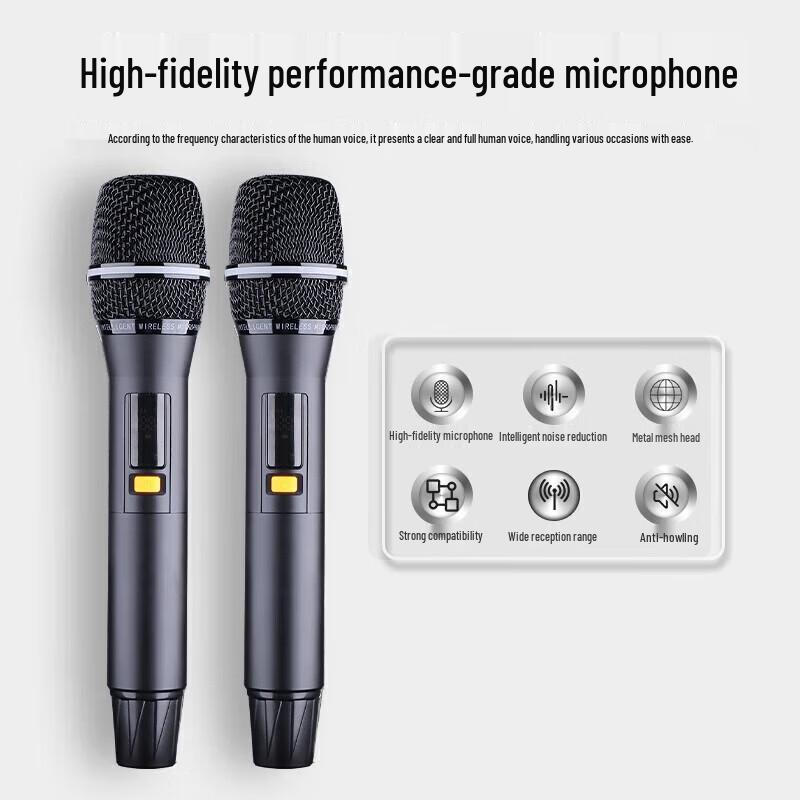 SAST SA-263 Portable KTV Speaker System CN Plug (adapter Included)