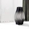 Vase Glass Vase Home Decoration Ornaments Flower Arrangement Flower Vase