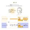 Hada Labo Gokujyun Perfect Gel Refill 80g