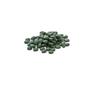 100 Stück Spirulina-Tabletten Fischfutter Spiralalgen Anreicherung Lieblingsfischfutter Behälter Aquarium Rote Garnelen Fischfutter Haustierbedarf
