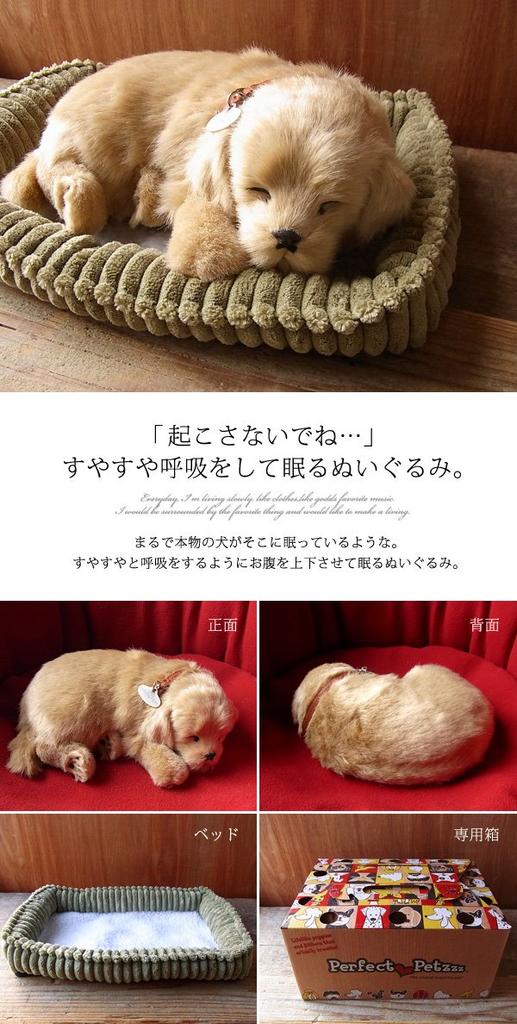 Ninian and Kino Perfect Pet Retriever Plush Stuffed Dog Stuffed Animal (Small) Dog, Realistic, Lifelike, Animal-Like Animal, Soothing, Moving, Gift,