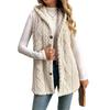 Popular Style Solid Color Plush Hooded Button Cardigan - Women's Autumn/Winter Casual Vest
