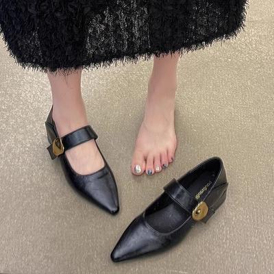 Gentle Mary Jane Shoes Children Spring and Autumn New Pointed Head with Skirt Brown Low Heel Single Shoes Trendy Girl