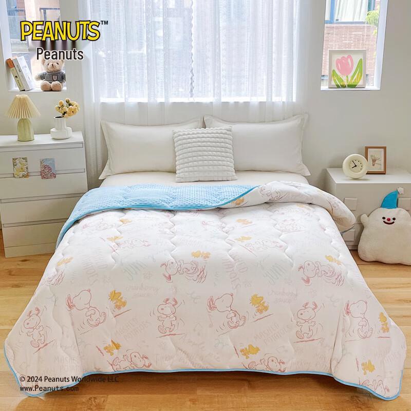 Snoopy Kids Bean Quilt