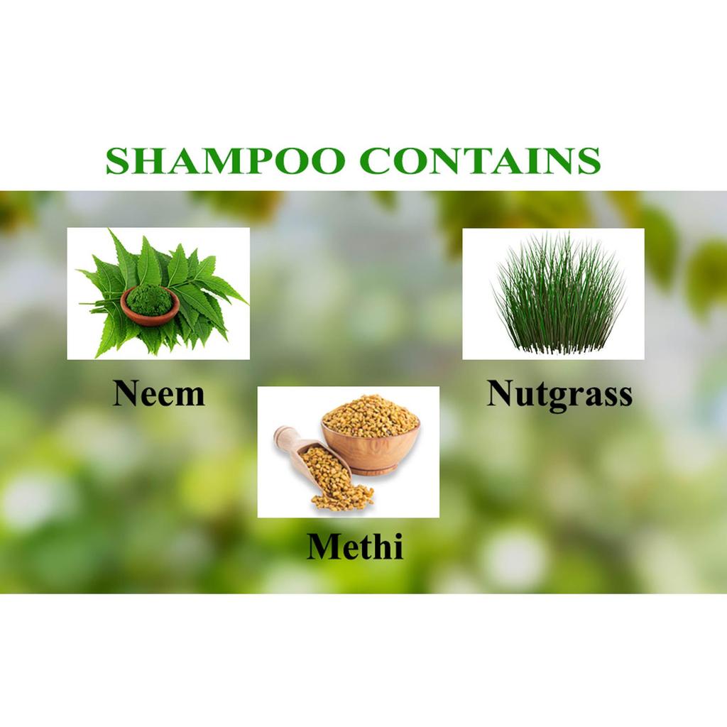 Baidyanath Asli Ayurved Neem And Nutgrass Shampoo 450 ML Pack Of 1 For Soft, Shiny, Nourished Hair