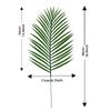 Simulation Plant Artificial Palm Leaf Single False Leaf Plastic Iron Tree Leaf Green Loose-Tailed Sunflower Arrangement Decoration
